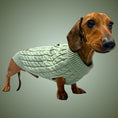 Load image into Gallery viewer, Forest Moss Luxury Cable Knit Dachshund Jumper - Sausage Dog Box