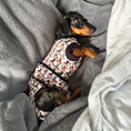 Load image into Gallery viewer, Antibacterial Dachshund Dog Surgery Suit | Sausage Dog Recovery / Allergy Outfit
