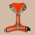 Load image into Gallery viewer, Action-Dax Anti-Rub Dachshund Harness