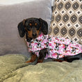 Load image into Gallery viewer, Howdy Cowgirl 'Dach-A-Mac' Dachshund Rain Mac In Bag
