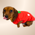 Load image into Gallery viewer, ‘Juicy Strawberry’ Sausage Dog Box Puppy Pj Jumper