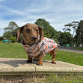 Load image into Gallery viewer, Beige Sausage Dog DoxieCool Dachshund Cooling Tee +30 Sun Protection Dog Vest