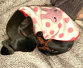 Load image into Gallery viewer, Pink Bunny Hop - Sausage Dog Box Dachshund PJ's/Jumper