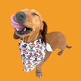 Load image into Gallery viewer, Bandana - Weiner On Wheels