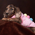 Load image into Gallery viewer, Pink ‘Ice Cream Sundae’ Sausage Dog Box Puppy Pj Jumper