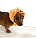 Load image into Gallery viewer, Sausage Dog Box Pumpkin Hat