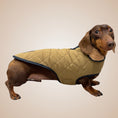 Load image into Gallery viewer, Evergreen Country Plaid Sherpa Lined Dachshund Dog Parker Jacket For Sausage Dog