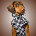 Load image into Gallery viewer, Dachshund Second Skin Tee - ‘Houndstooth’ | Sausage Dog Outfit
