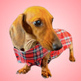 Load image into Gallery viewer, Tart'n Up 'Dach-A-Mac' Dachshund Rain Mac In Bag Sausage Dog Box Folda