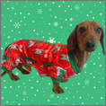 Load image into Gallery viewer, Merry Slothmas Dachshund Christmas Pj Onesie Outfit