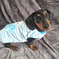 Load image into Gallery viewer, ‘Rock A Bye’ Sausage Dog Box Puppy Pj Jumper