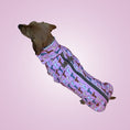 Load image into Gallery viewer, Pink Sophisticated Sausage Long Dog Zipper Dachshund Fleece Jumper / Sweater