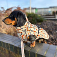 Load image into Gallery viewer, Beige Sophisticated Sausage Waterproof Polartec Fleece Dachshund Dog Coat