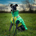 Load image into Gallery viewer, Champion Pup Limited Edition PupDri Water Resistant Zip Back Dog Fleece Harness