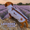 Load image into Gallery viewer, Lavender Fields Waterproof Dachshund Harness Fleece | Sausage Dog Box DoxieDri