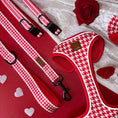 Load image into Gallery viewer, Red Houndstooth Dachshund Lead