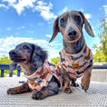 Load image into Gallery viewer, Beige Sophisticated Sausage Long Dog Zipper Dachshund Fleece Jumper / Sweater