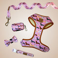 Load image into Gallery viewer, Pink Sophisticated Sausage Dachshund Lead