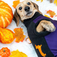 Load image into Gallery viewer, Spiced Twilight Waterproof Dachshund Harness Fleece | Sausage Dog Box DoxieDri