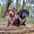 Load image into Gallery viewer, Pretty Pink Houndstooth Anti-Rub Sausage Dog Harness