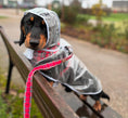 Load image into Gallery viewer, Nautical Blue Waterproof Naked Dachshund Coat / Rain Mac | Sausage Dog Box