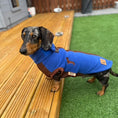 Load image into Gallery viewer, Azure Blue Waterproof Dachshund Harness Fleece | DoxieDri Jumper