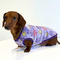 Load image into Gallery viewer, Purple Pitter Patter Paws - Sausage Dog Box Dachshund PJ's/Jumper