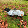 Load image into Gallery viewer, Blue Dachshund Coat 'Up Up and Away' Waterproof With PolarTec Fleece