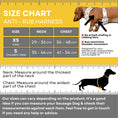 Load image into Gallery viewer, Strawberries & Weens Anti-Rub Dachshund Harness