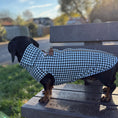 Load image into Gallery viewer, Houndstooth Dachshund Fleece Jumper / Sweater | Sausage Dog Box
