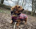 Load image into Gallery viewer, Dachshund Coat Reversible Plaid Red Sausage Dog Jacket