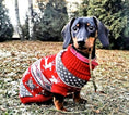 Load image into Gallery viewer, Sausage Dog Box Dachshund Winter Print Jumper