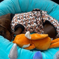 Load image into Gallery viewer, Antibacterial Dachshund Dog Surgery Suit | Sausage Dog Recovery / Allergy Outfit