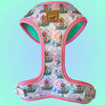 Load image into Gallery viewer, Under The Dox-Sea Anti-Rub Dachshund Harness