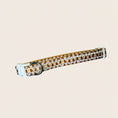 Load image into Gallery viewer, Honey Bear Sausage Dog Adjustable Collar