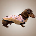 Load image into Gallery viewer, Pink Sophisticated Sausage Sherpa Fleece Dachshund Dog Parker Jacket