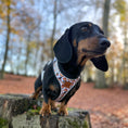 Load image into Gallery viewer, Anti-Rub Dachshund Harness - Weiner On Wheels