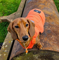 Load image into Gallery viewer, BARK AVENUE Luxury Ultimate Explorer Coat - Orange