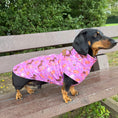 Load image into Gallery viewer, Fun Floss Purple Circus Dachshund Fleece Jumper / Sweater | Sausage Dog Box
