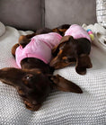 Load image into Gallery viewer, Pink Ice Cream Sundae - Sausage Dog Box Dachshund PJ's/Jumper