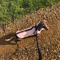 Load image into Gallery viewer, Strawberry Truffle DoxieDri Sausage Dog Harness Jumper