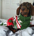 Load image into Gallery viewer, Sausage Dog Box Merry Christmas Dachshund Jumper