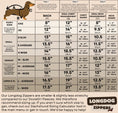 Load image into Gallery viewer, Pink Sophisticated Sausage Long Dog Zipper Dachshund Fleece Jumper / Sweater