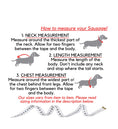 Load image into Gallery viewer, Sausage Dog Box V.I.P Very Important Pup Vest