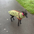 Load image into Gallery viewer, Pistachio PupDri Zip Back Dog Fleece Harness Jumper | Hound Outfitters