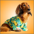 Load image into Gallery viewer, CLEARANCE - Sausage Dog Box Dachshund Hawaiian Shirt - Toucan