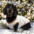 Load image into Gallery viewer, Beige Twinkle Twinkle - Sausage Dog Box Dachshund PJ's/Jumper