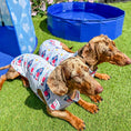 Load image into Gallery viewer, Nautical Sandy Sausage DoxieCool Dachshund Cooling Vest For Dachshund Dogs