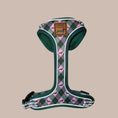 Load image into Gallery viewer, Pink Rosewood Argyle Dachshund Dog Harness