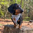 Load image into Gallery viewer, Dachshund Wonderland Anti-Rub Sausage Dog Harness